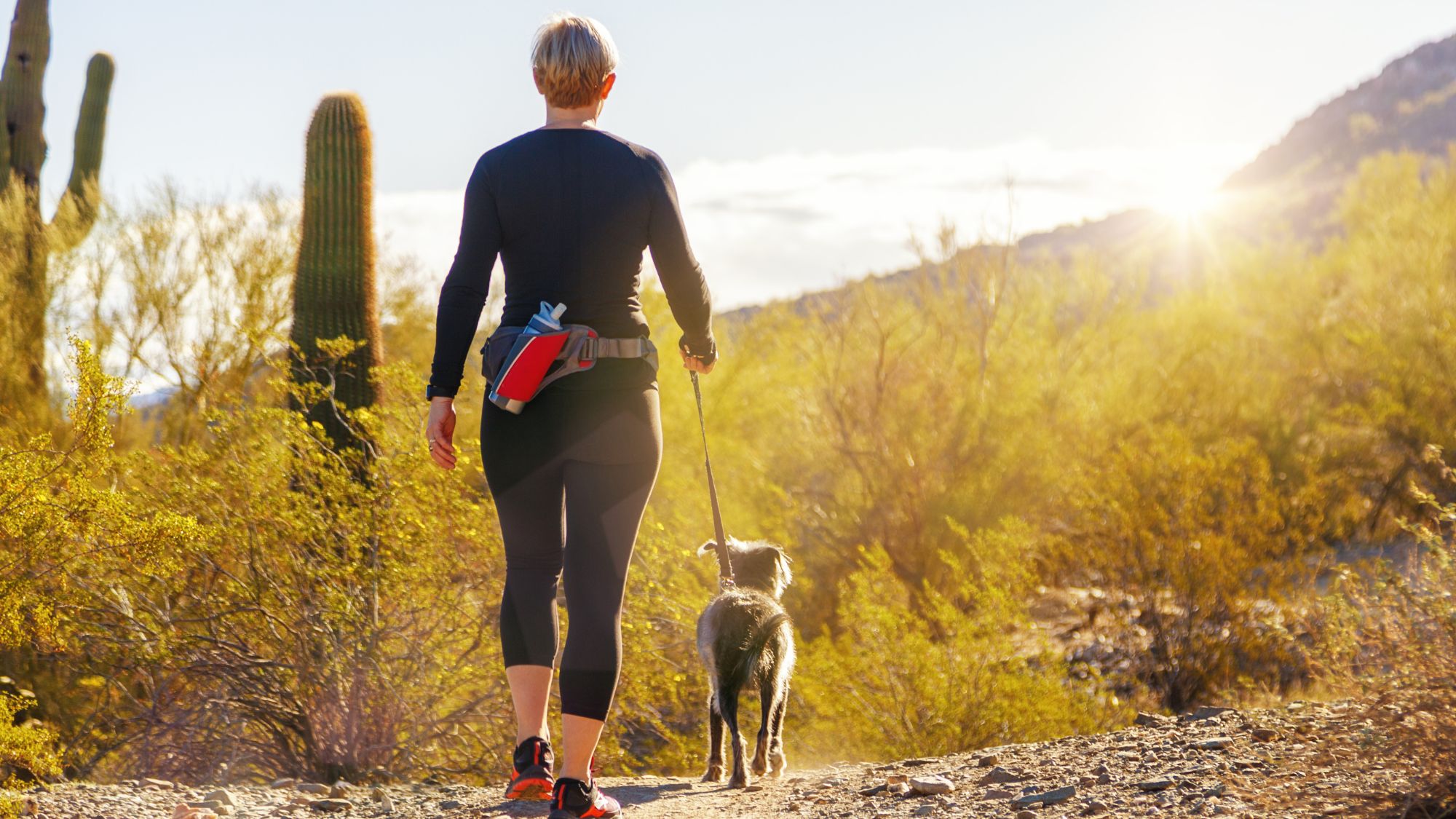 Discover the Best Fall Hikes in and around Sedona, Arizona Arabella