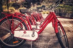 A line of red bicycles parked in front of trees with mountains in the background near Arabella Hotel Sedona in Sedona, AZ
