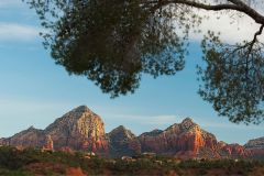 Tree branches hanging off of tree with mountain and blue skies in background near bigger forest near Arabella Hotel Sedona in Sedona, AZ